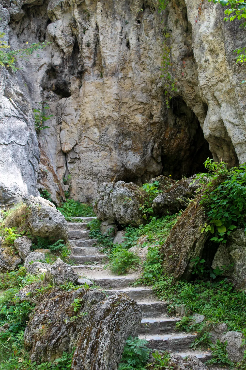 The Mountain Climb