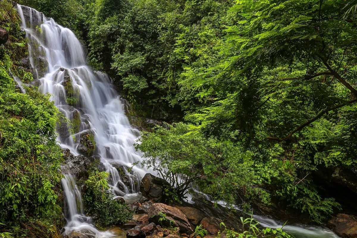 Phong Nha Botanic Garden