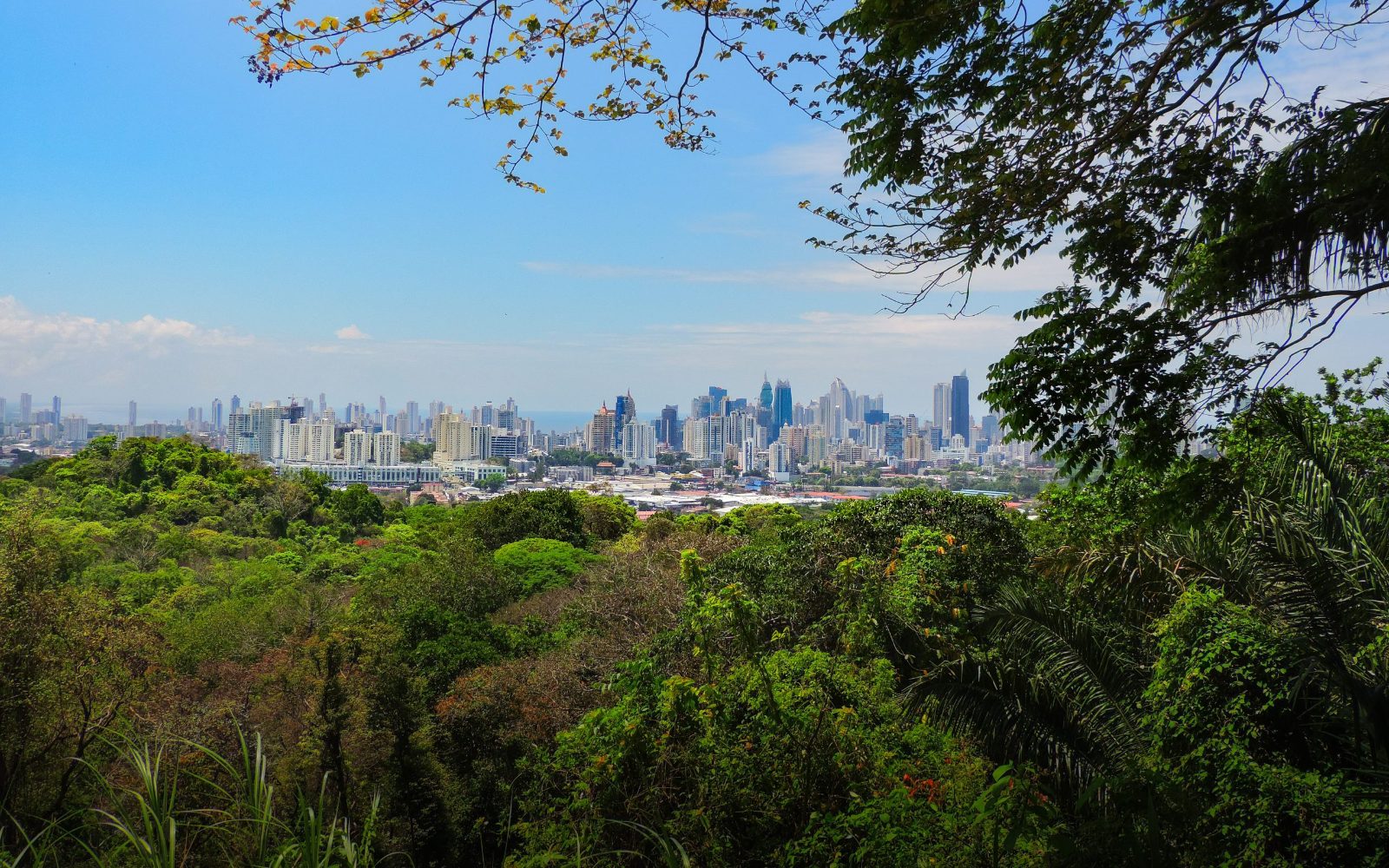 Metropolitan Natural Park