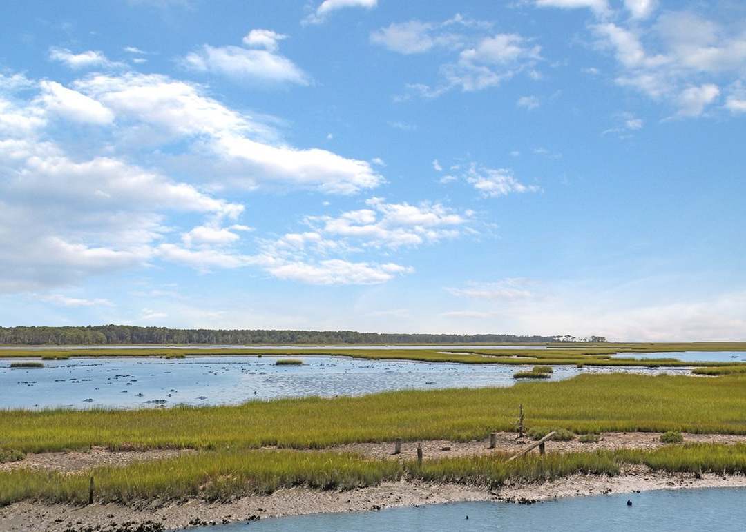 Piney Island