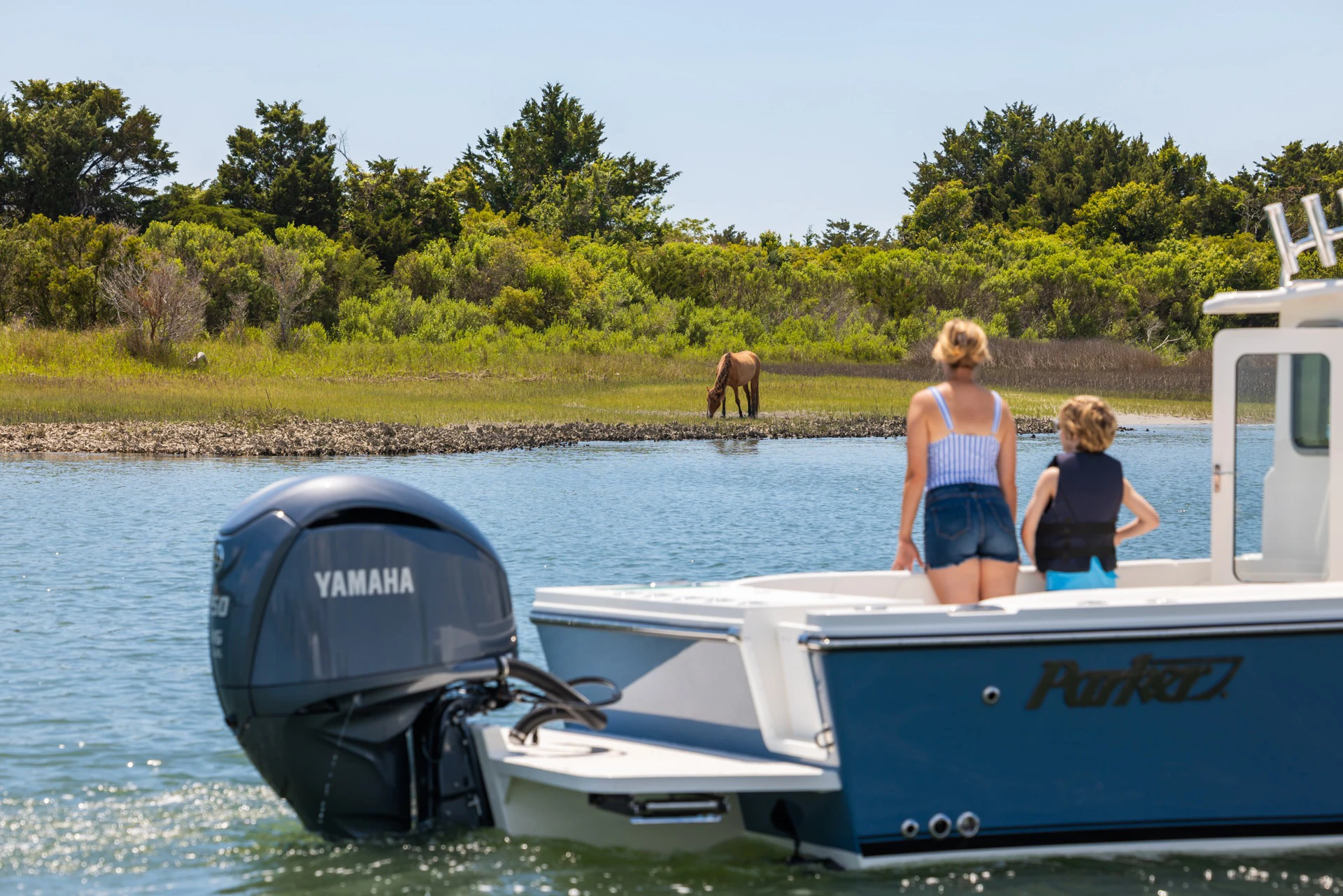 Your experience at Assateague Island Boat Tours
