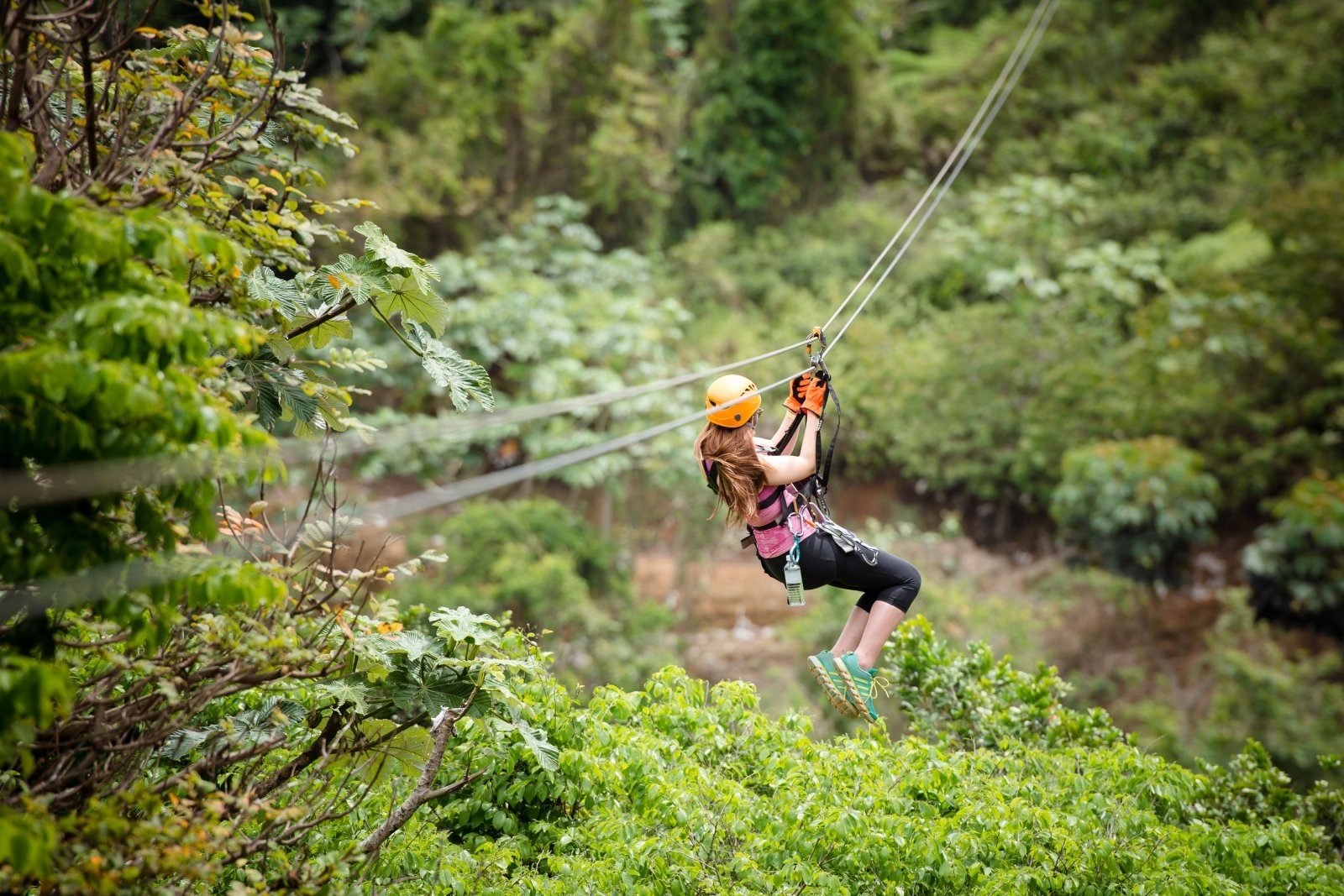 Toro Verde Zipline
