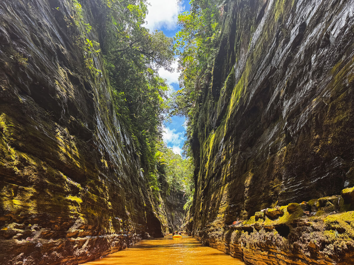 Navua River Tubing Adventure