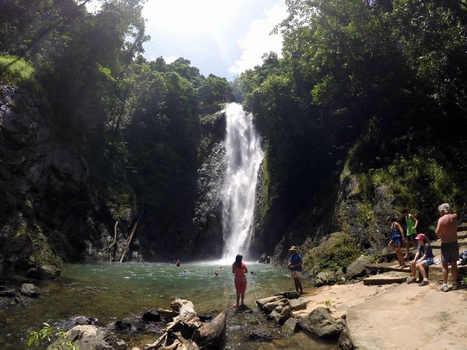 Tropical Waterfall