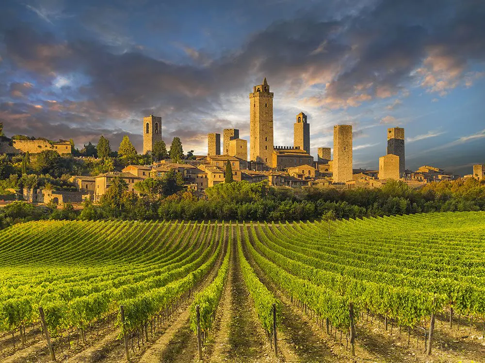 San Gimignano Wine Tasting Experience