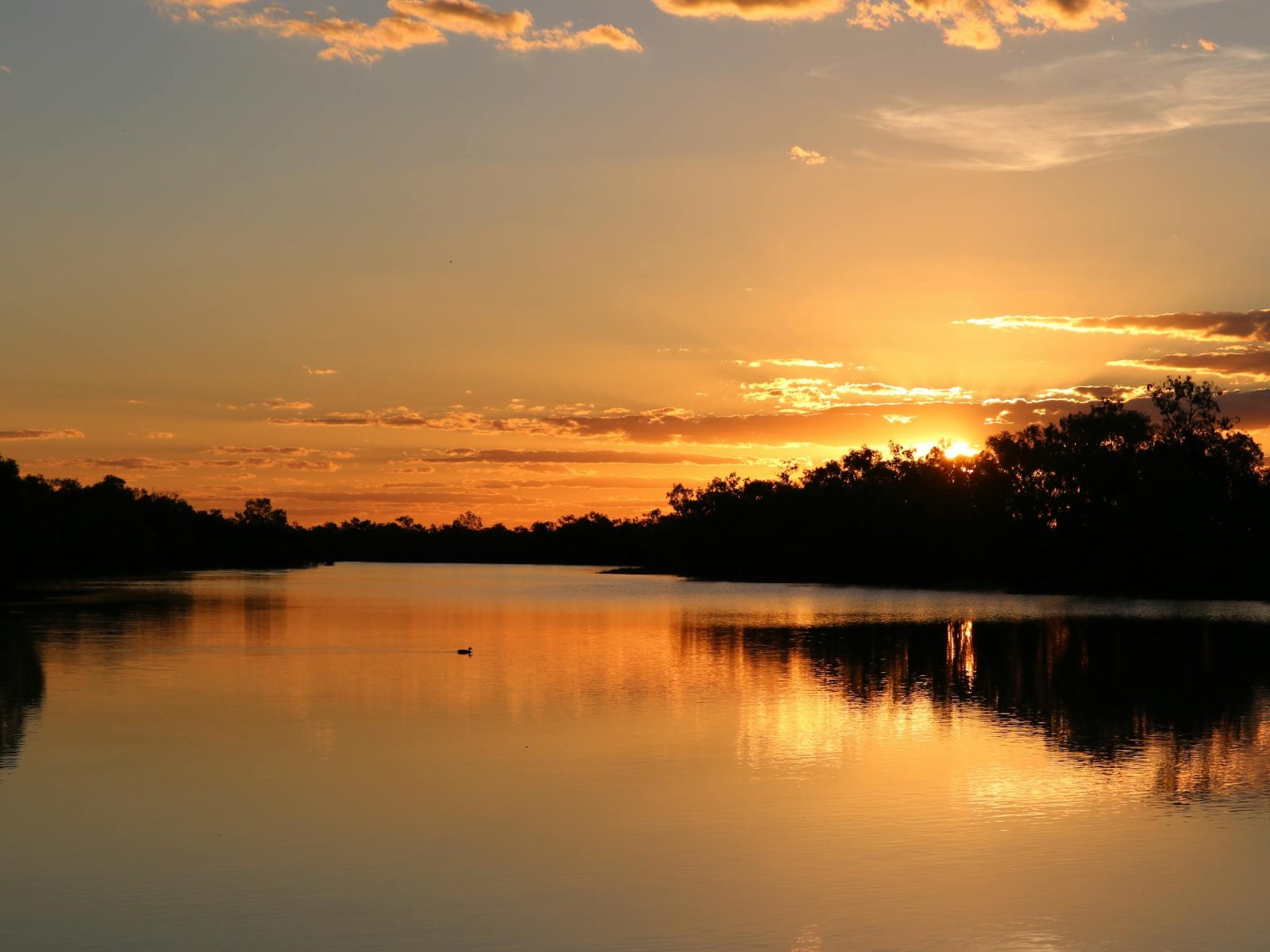 Longreach River Cruise on the Darr