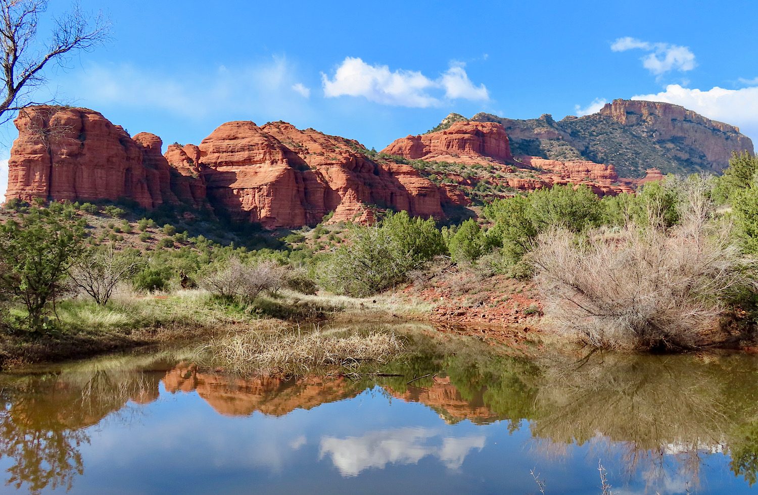 Dead Horse Ranch State Park