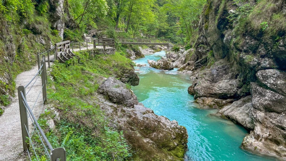 Sava River Rafting Adventures