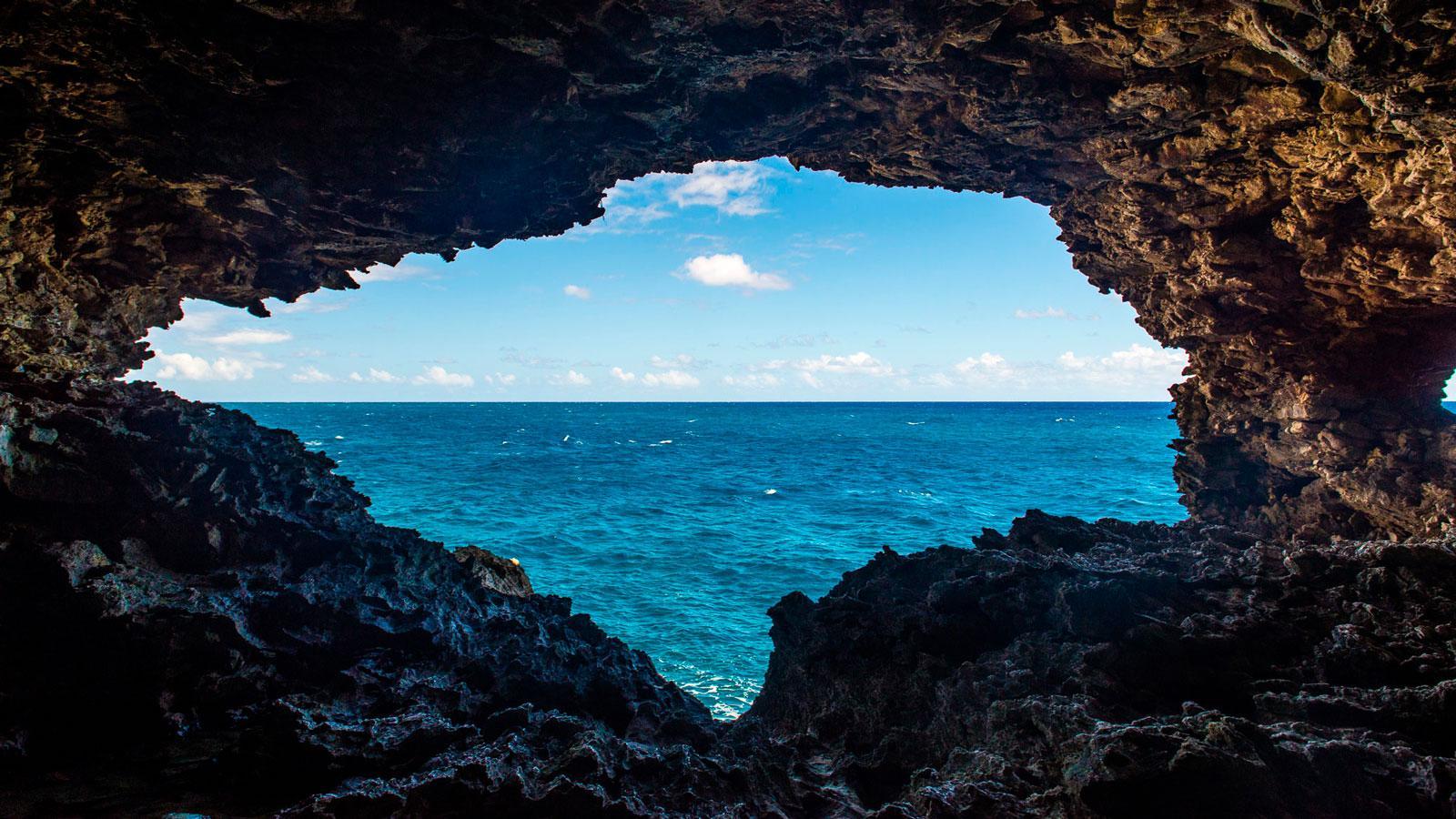 Animal Flower Cave Tour