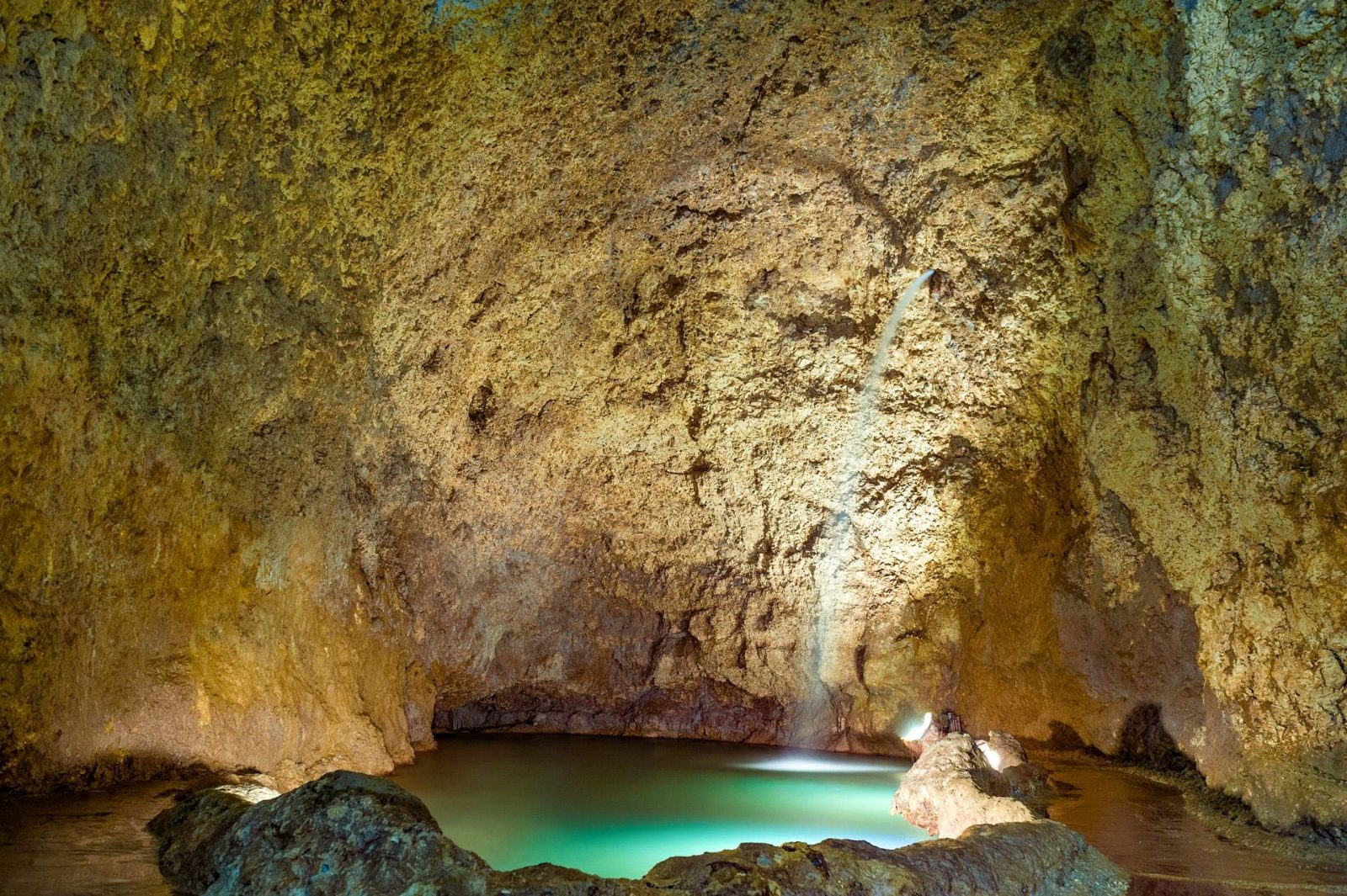 Your experience at Animal Flower Cave Tour
