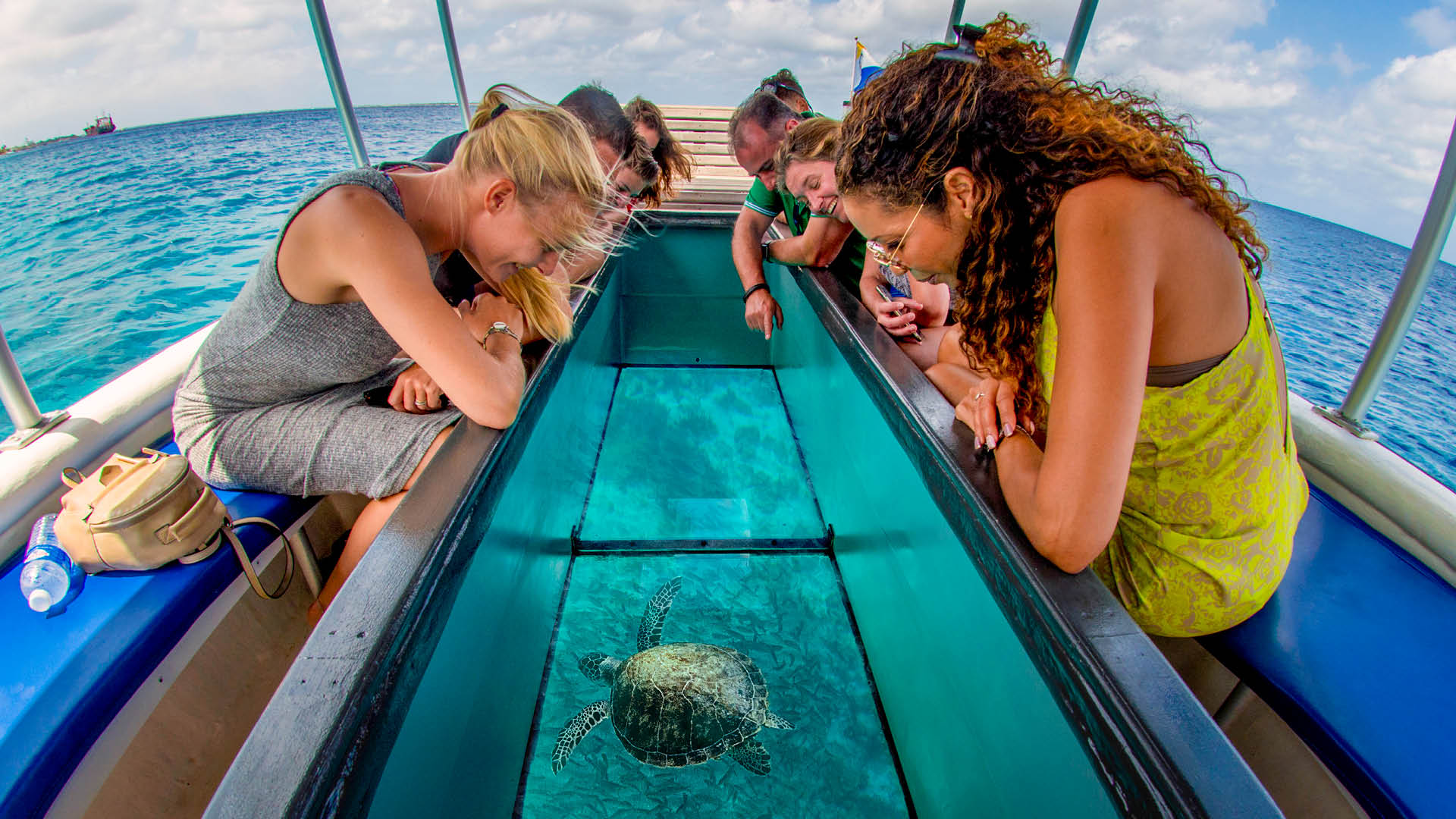 Underwater Vision Areas