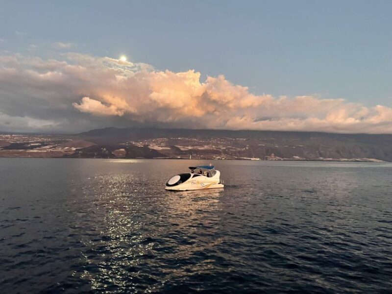 Tazacorte Boat Tour