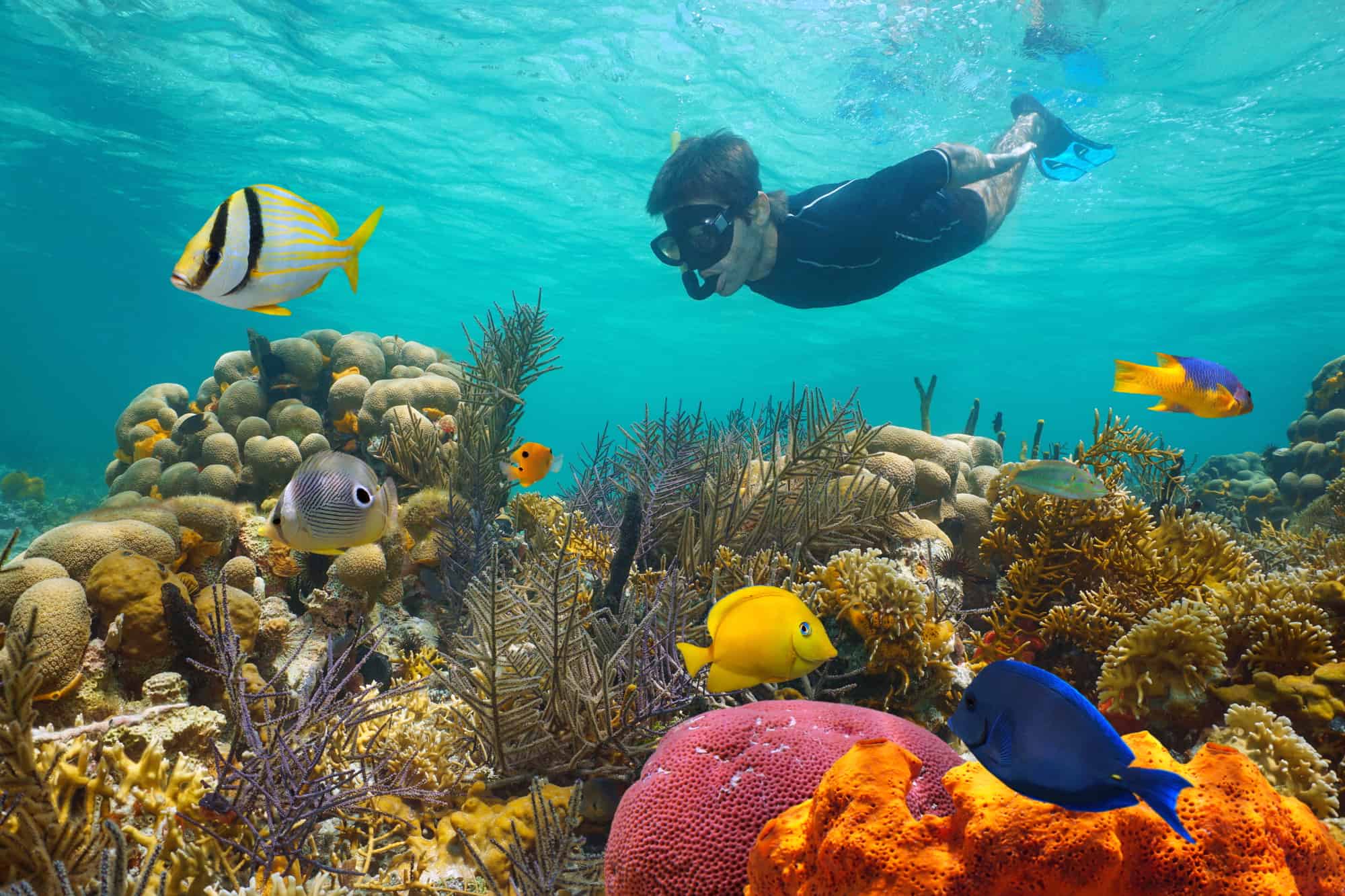 Your experience at Tamarindo Catamaran Tour