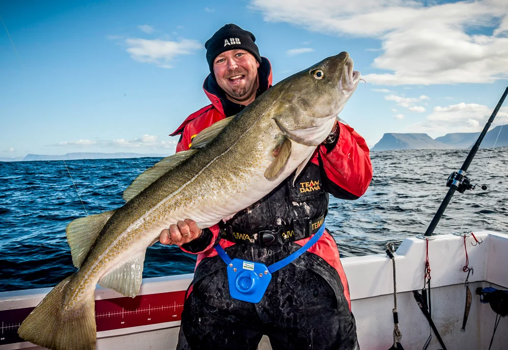 Your experience at Deep Sea Fishing Reykjavik