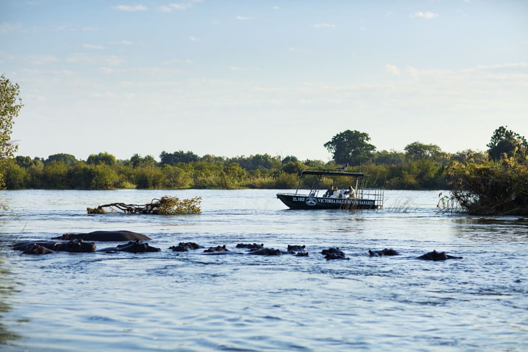 Zambezi River Banks