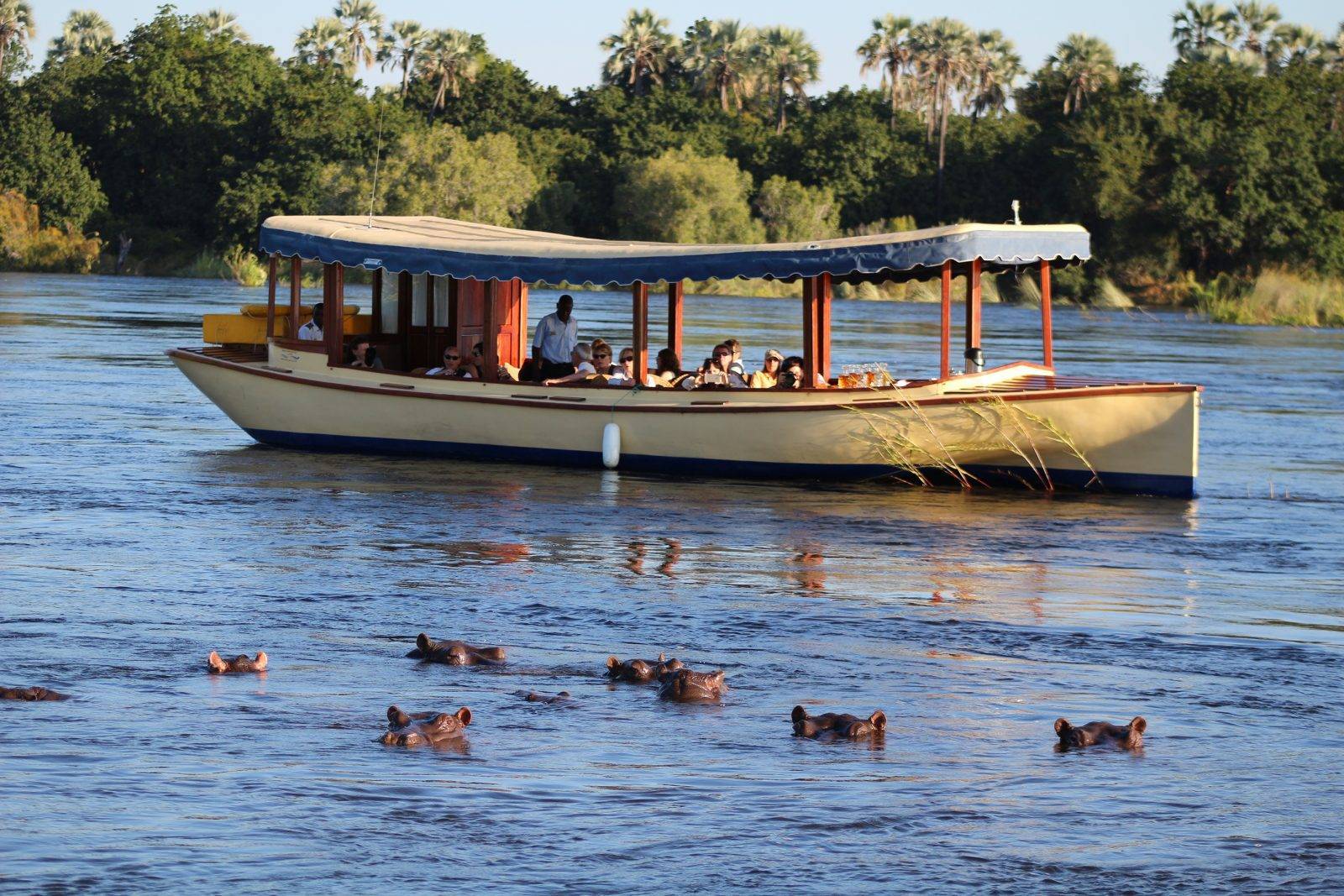 Your experience at Zambezi Sunset Cruise