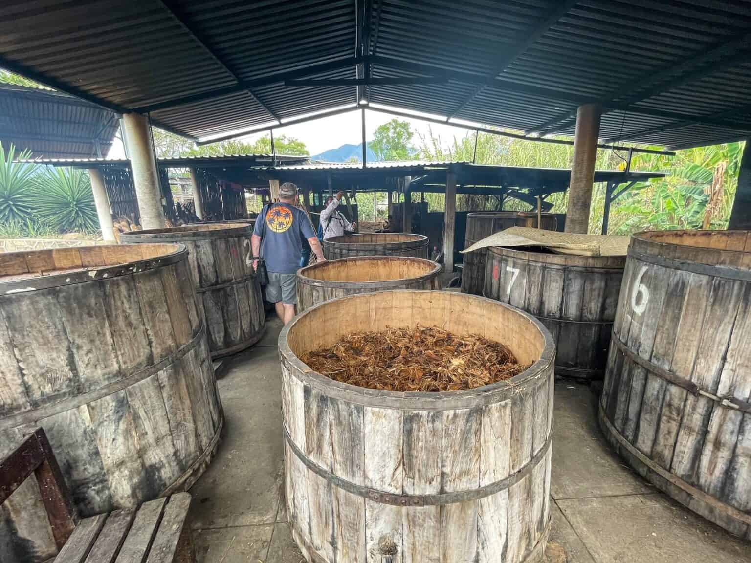 Fermentation Vats