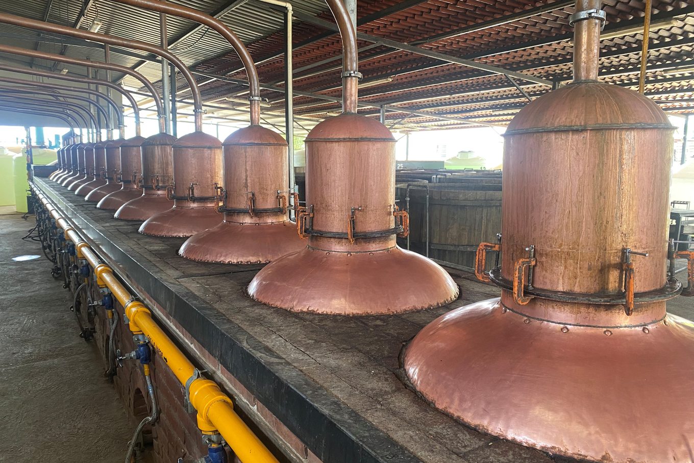 Mezcal Tour Oaxaca: Distillery Visits & Tastings