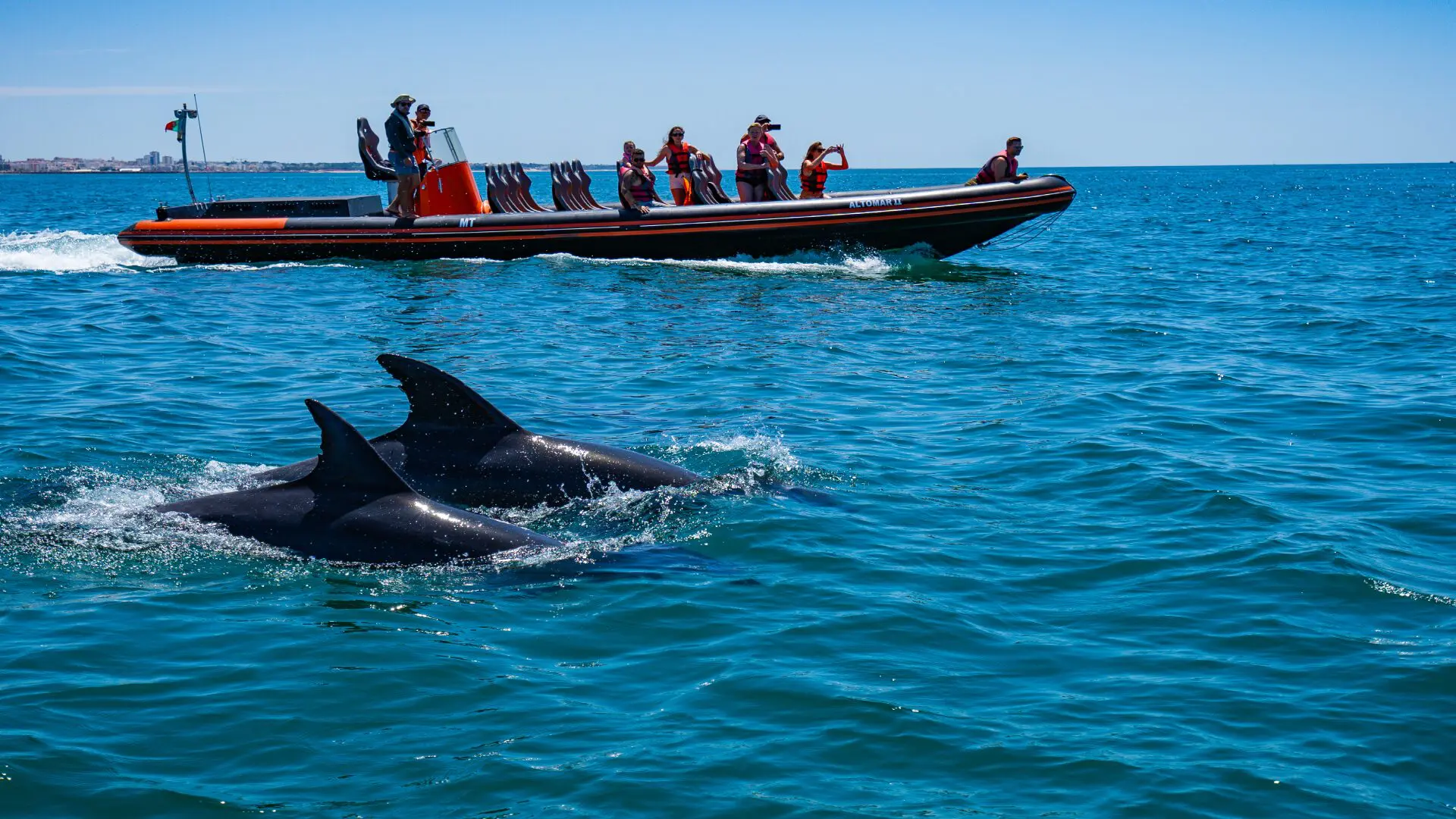 Your experience at Albufeira Dolphin Cave Tour