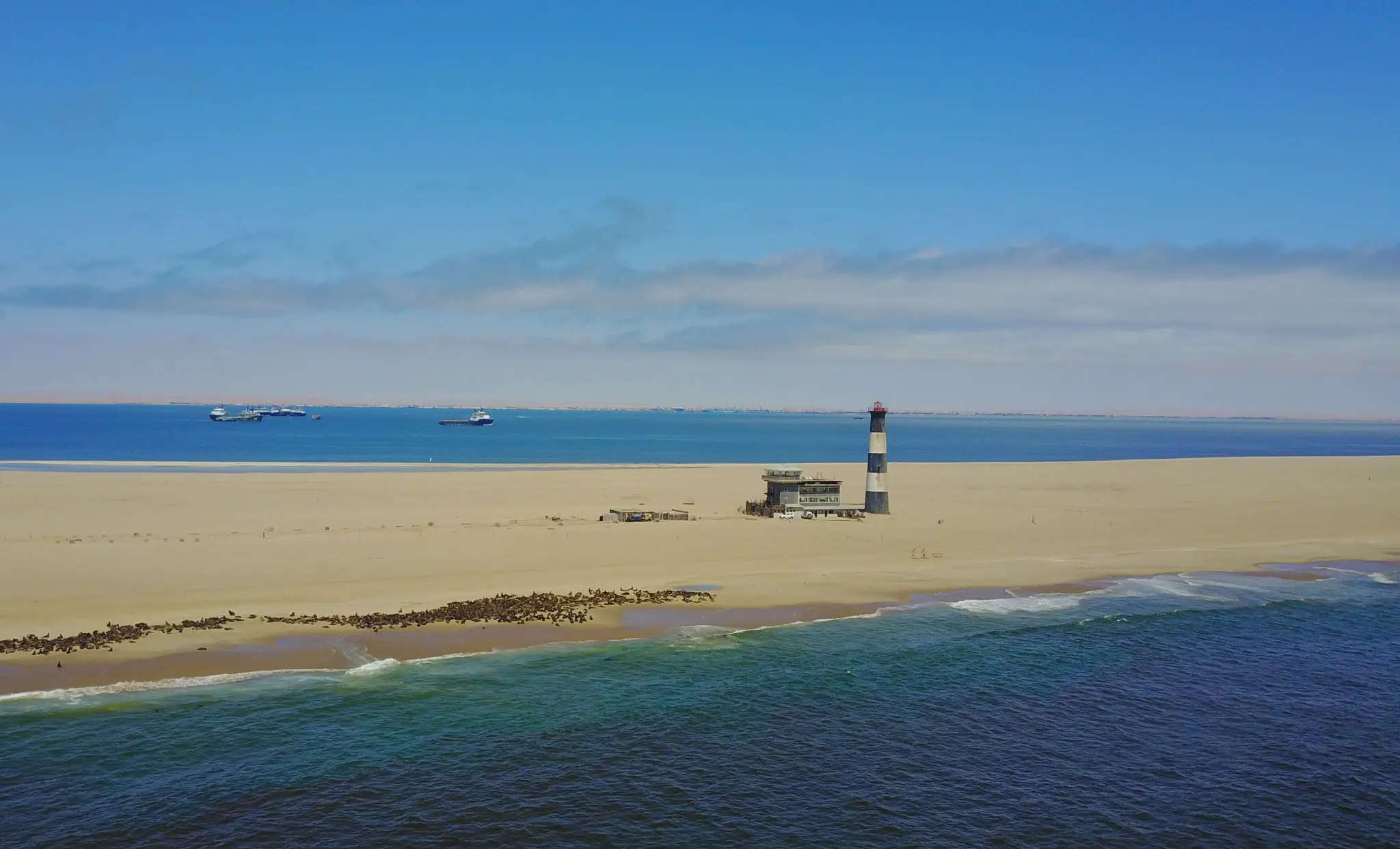 Pelican Point Kayaking Along the Peninsula