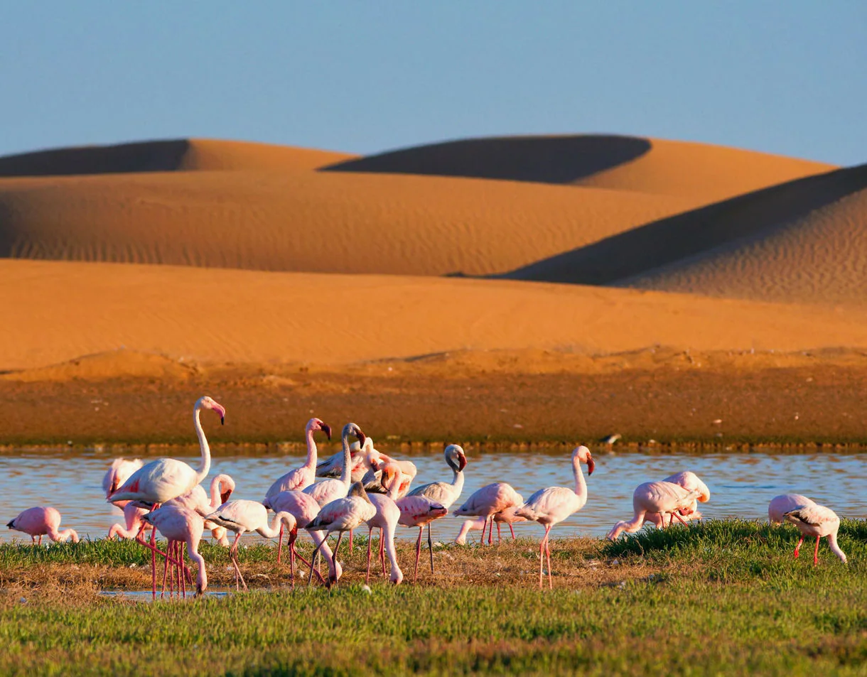 Walvis Bay Lagoon