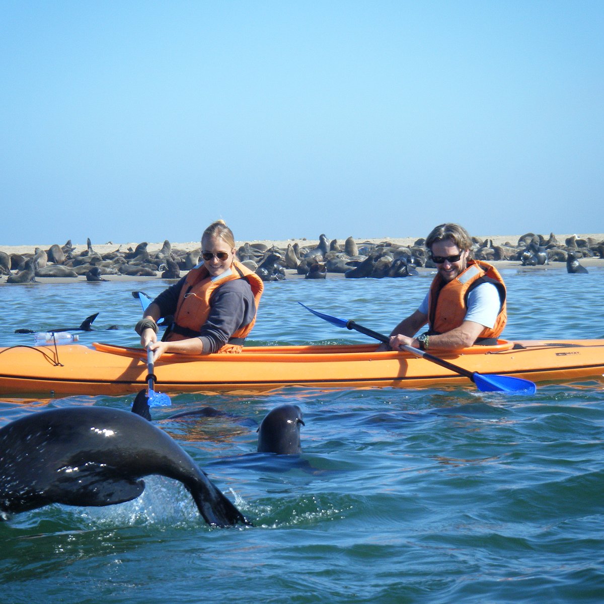 Pelican Point Kayaking