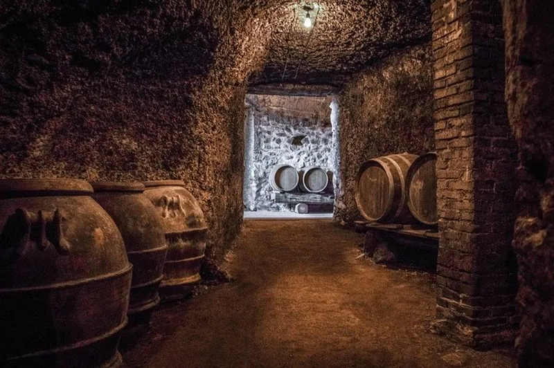 Your experience at Frascati Wine Tour