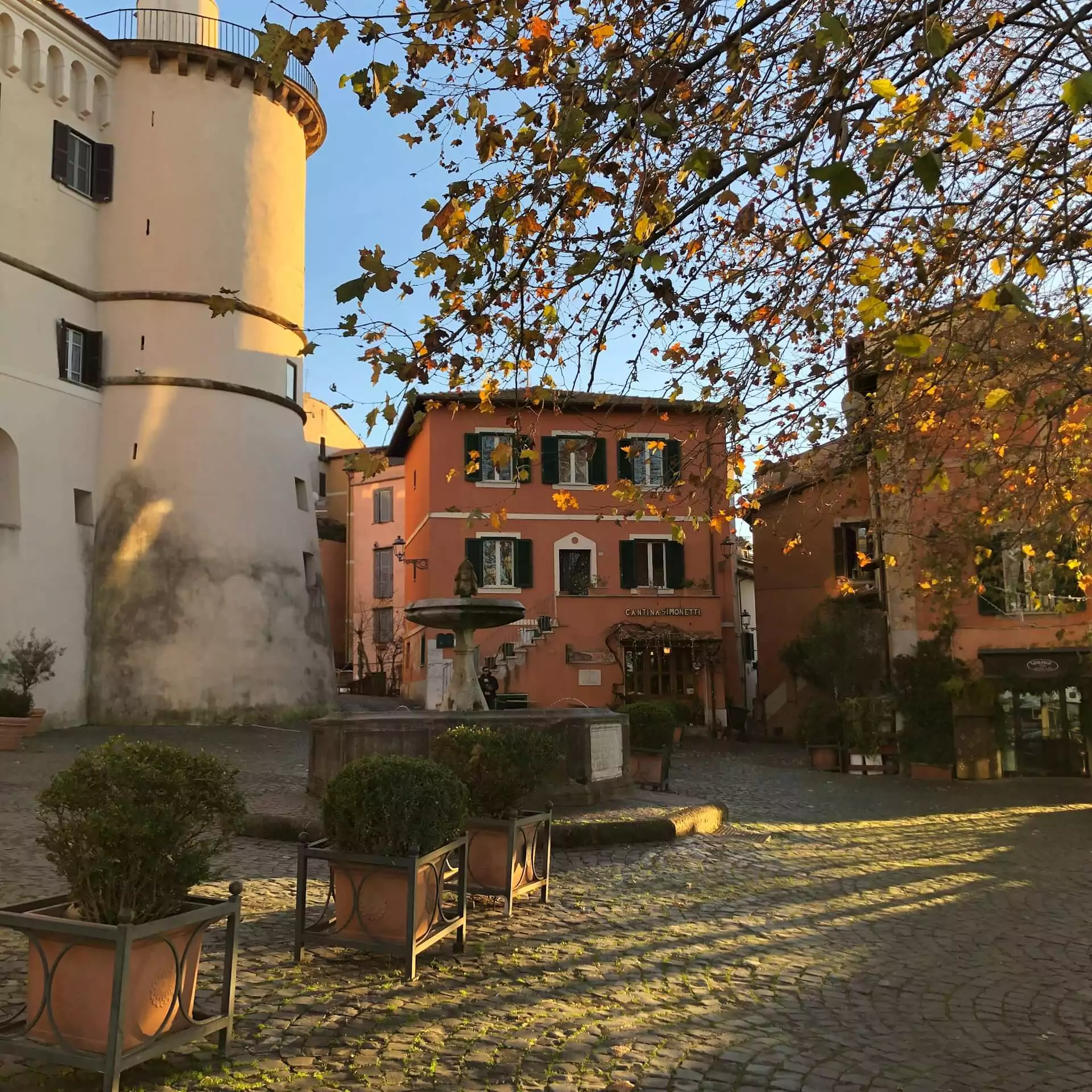 Historic Town Walk
