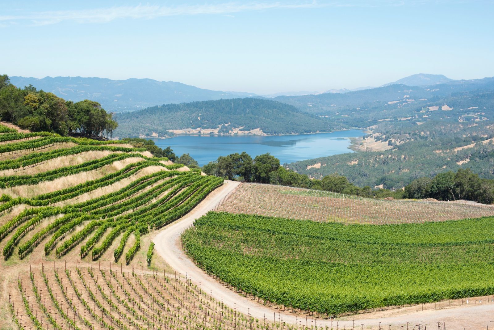 Frascati Wine Tour Through Historic Vineyards