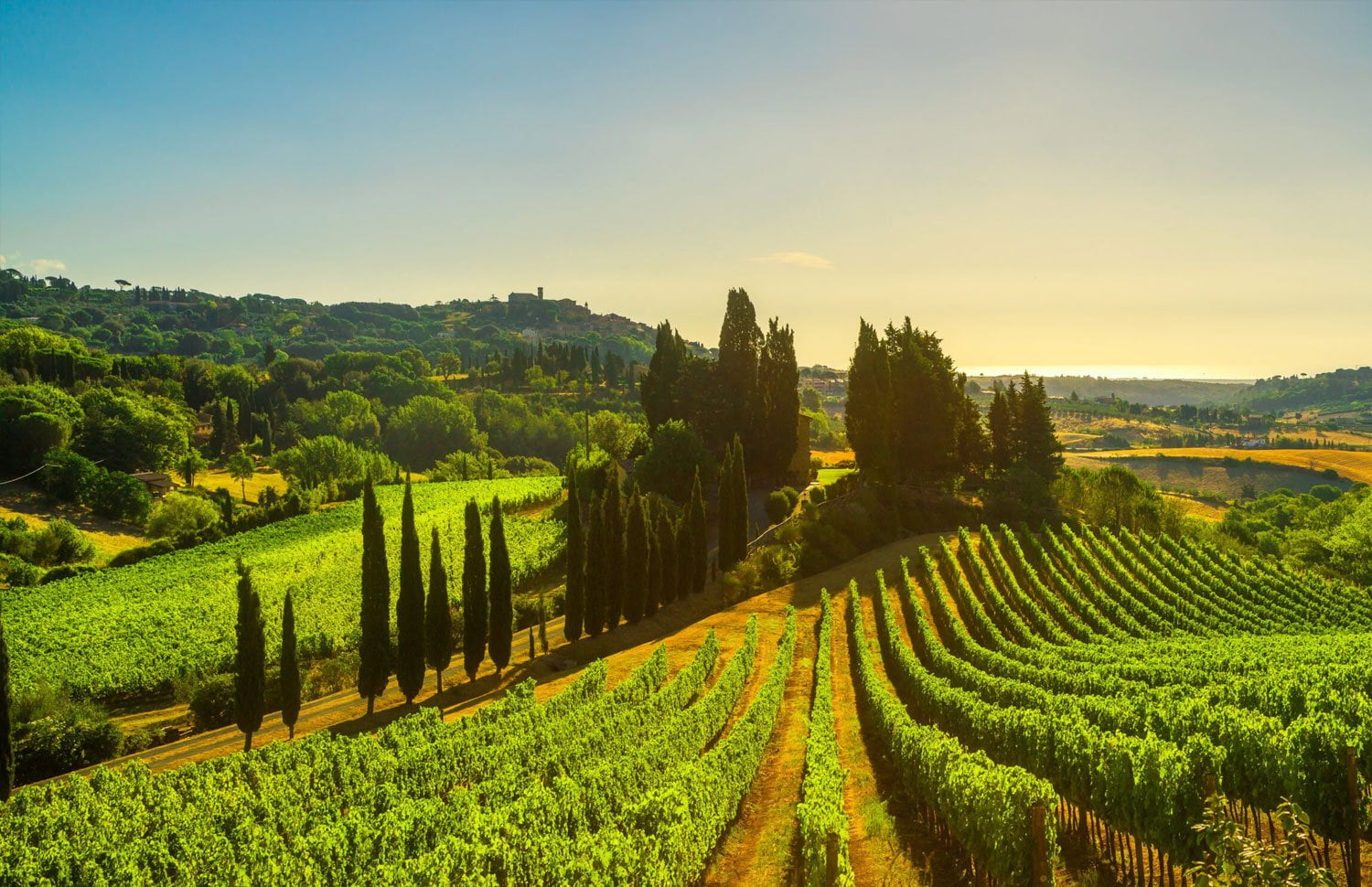 Frascati Wine Tour