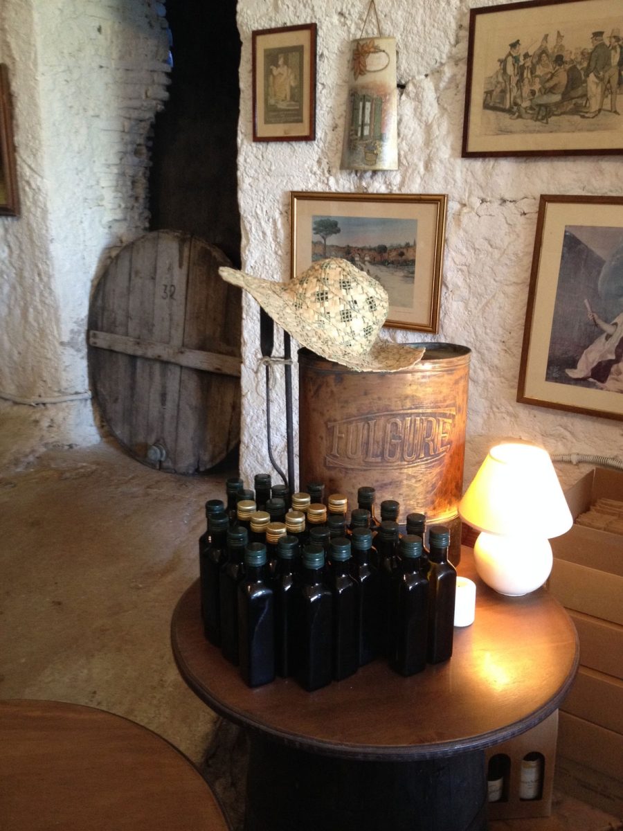 Cellar Visit & Guided Wine Tasting