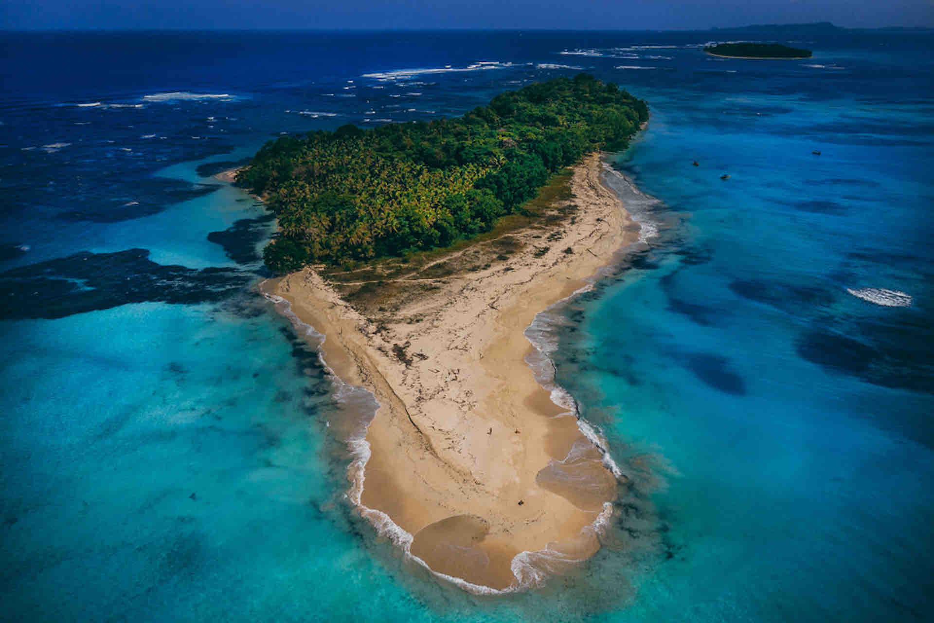 Your experience at Zapatilla Island Day Trip