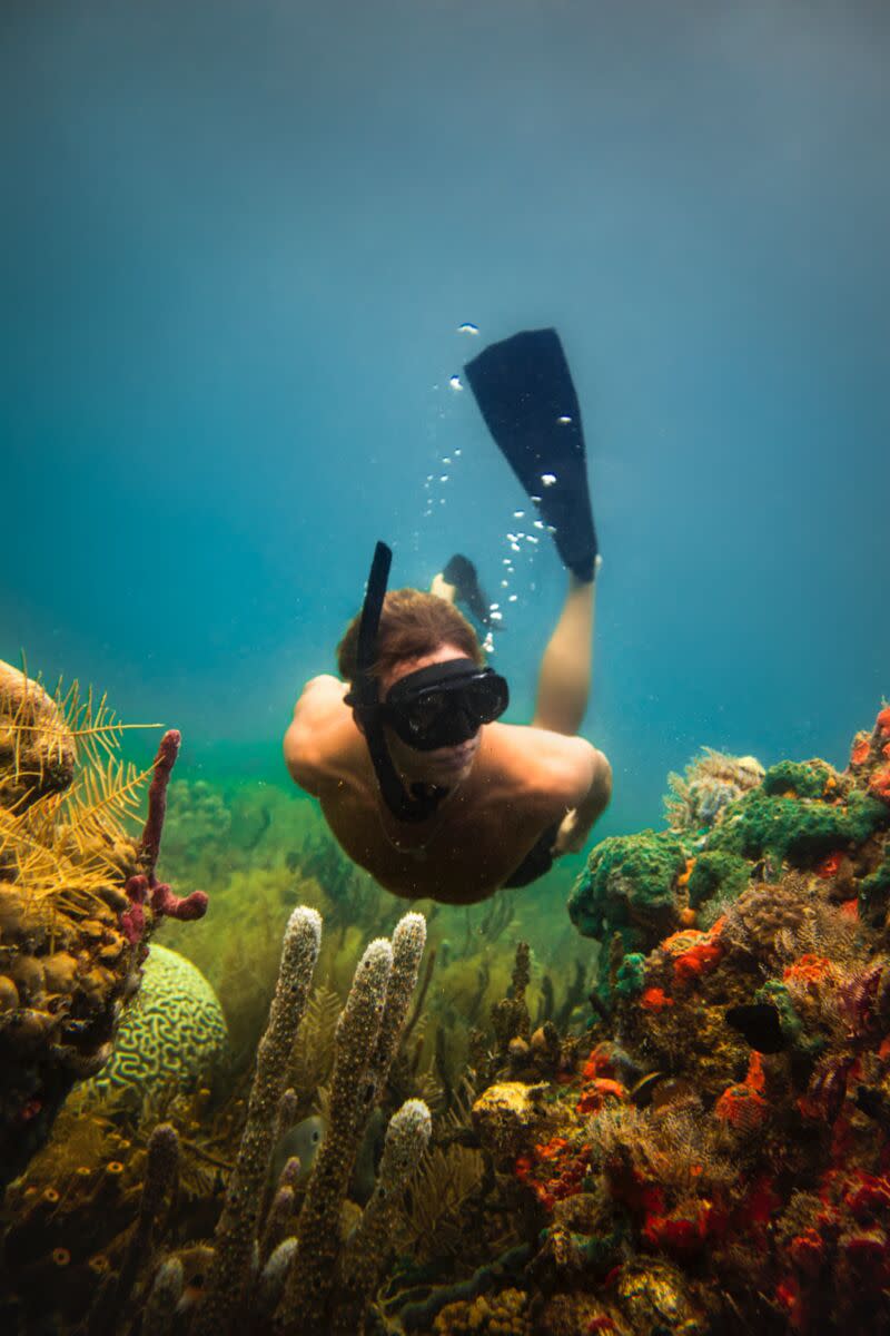 Coral Reef Gardens