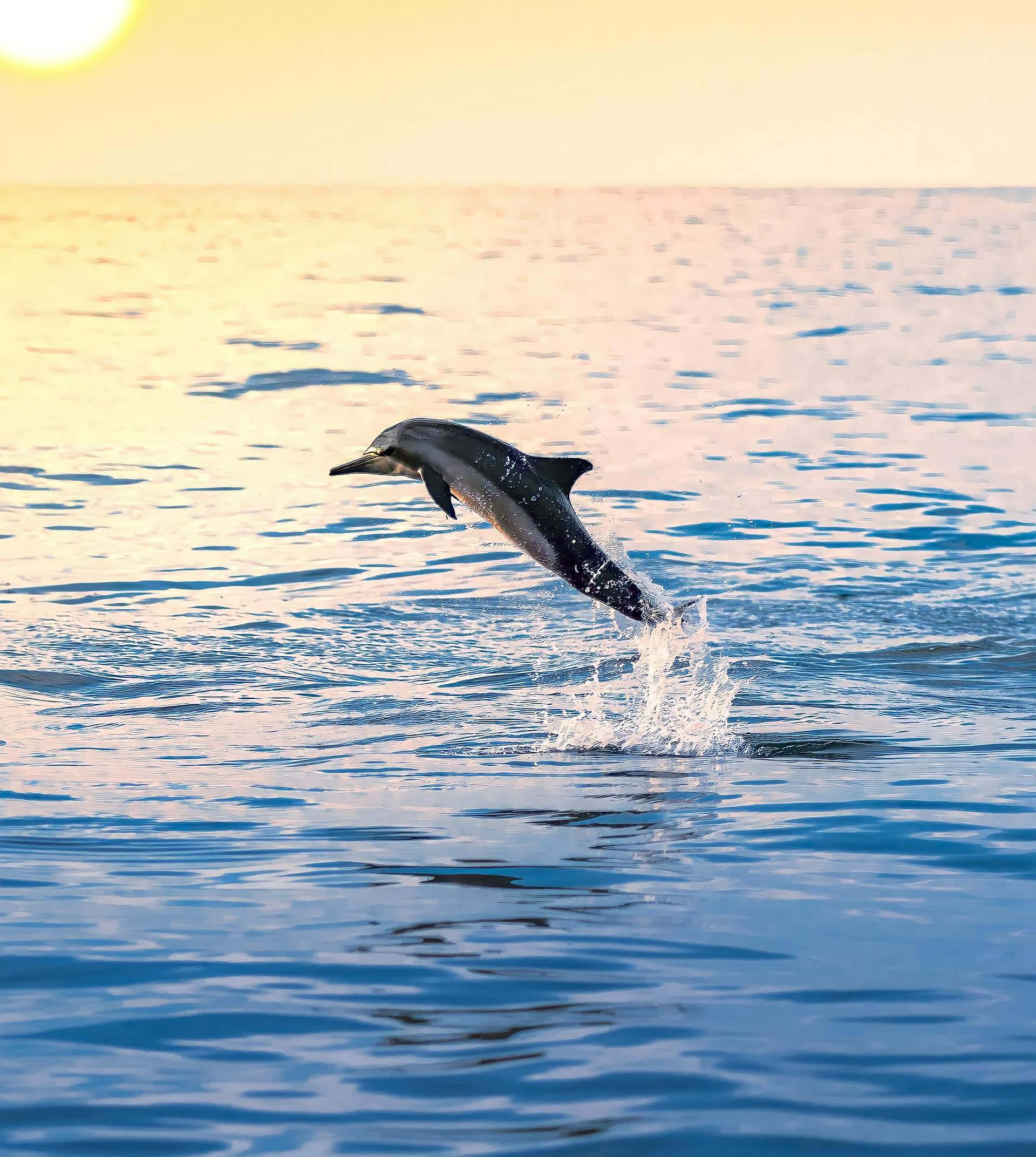 Cape May Sunset Cruise on the Delaware Bay