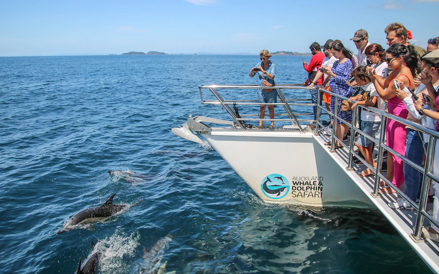 Your experience at Cape May Sunset Cruise