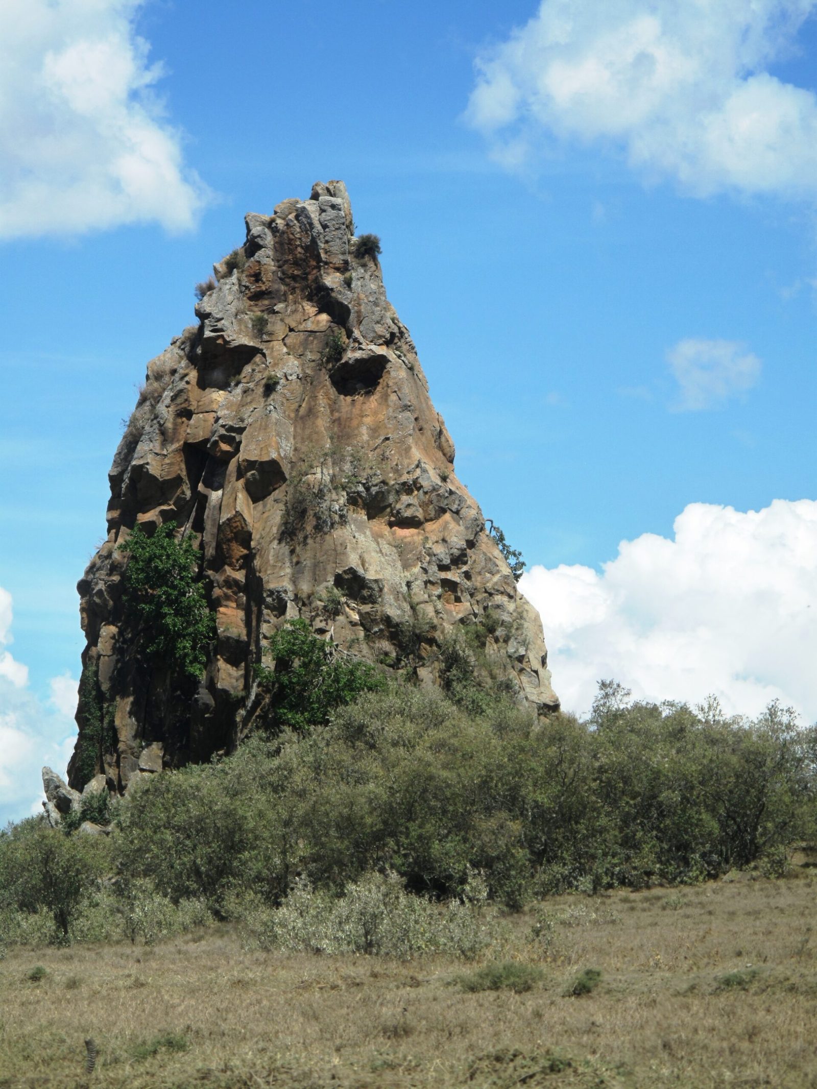 Fischer's Tower