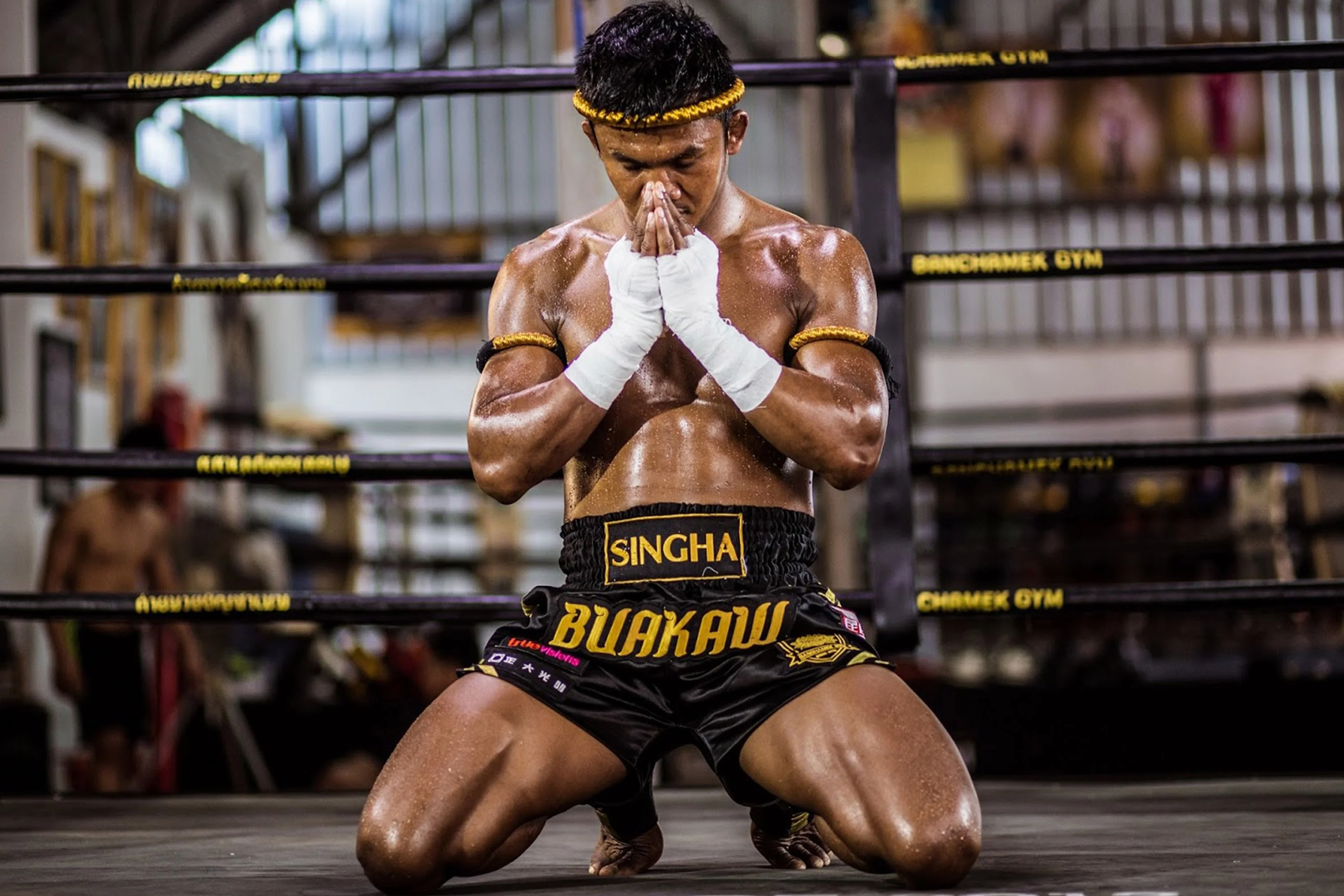 Your experience at Samui Muay Thai Tickets