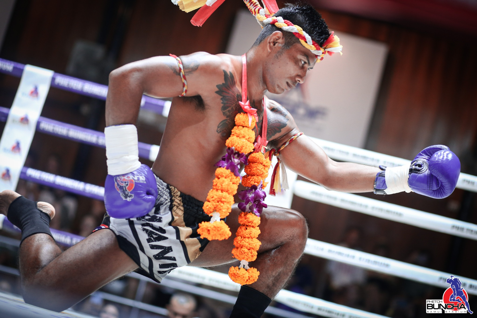 The Fighting Ring