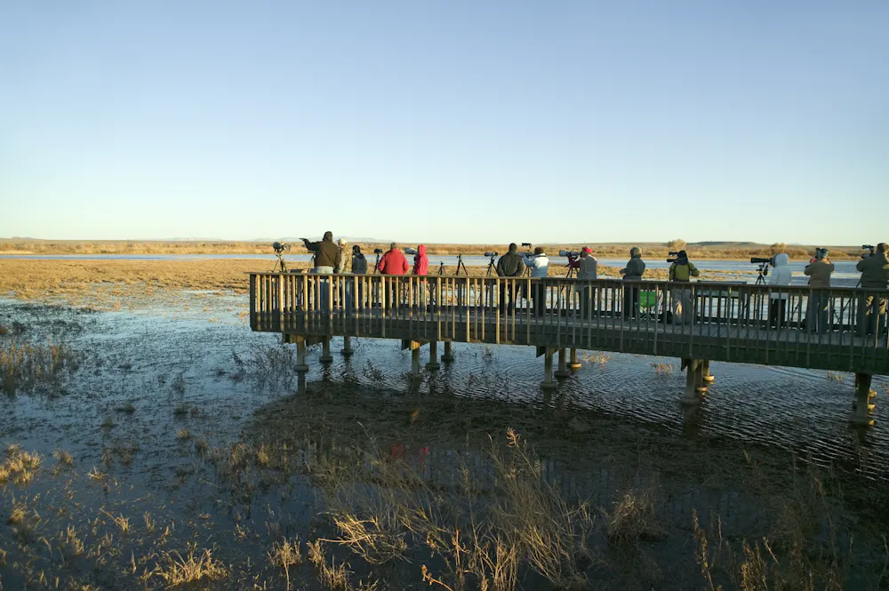Upper Sun Deck