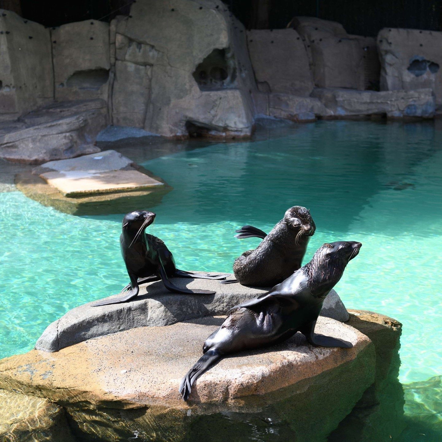 Vancouver Aquarium