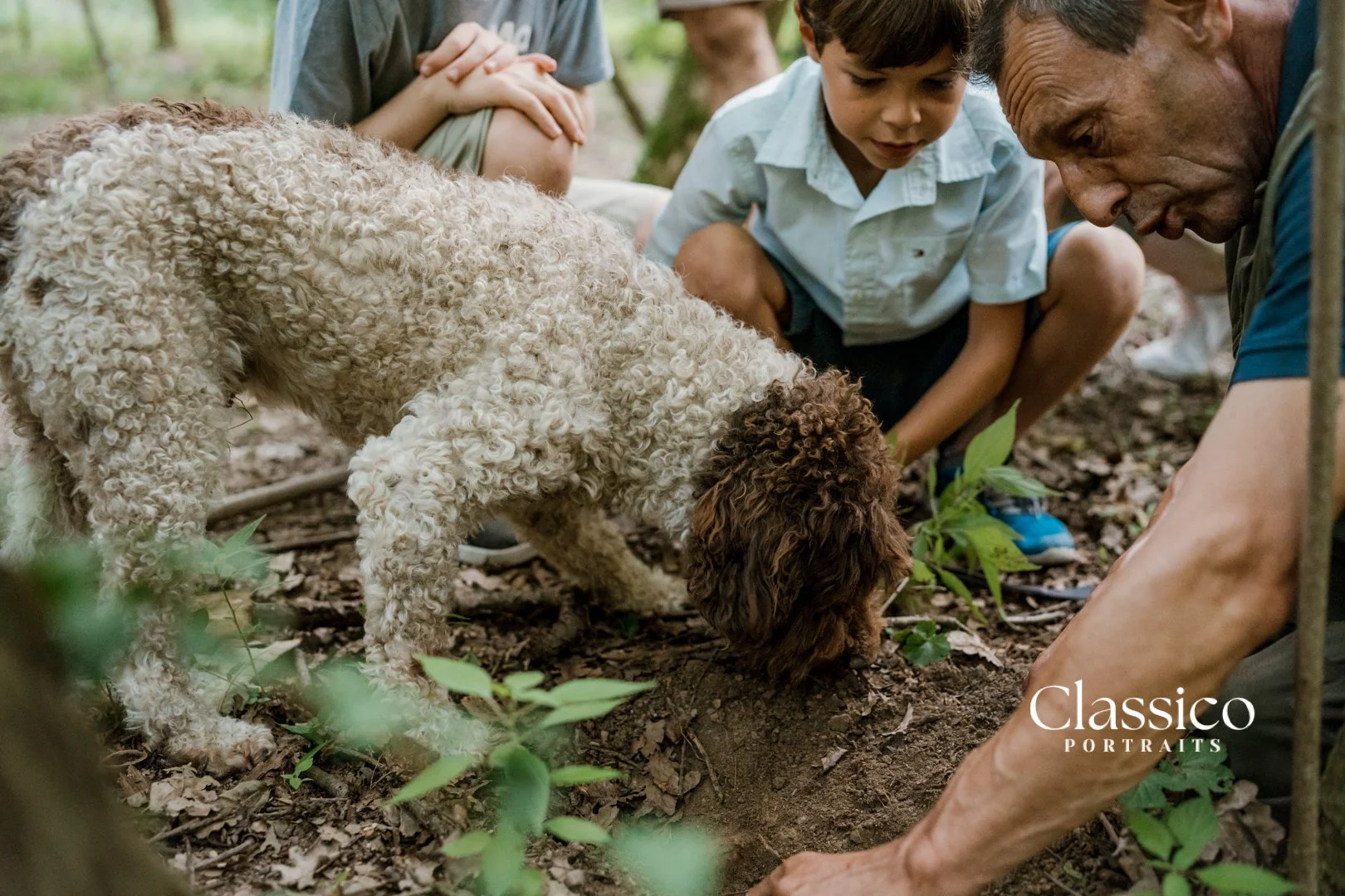 Your experience at Truffle Hunting Alba