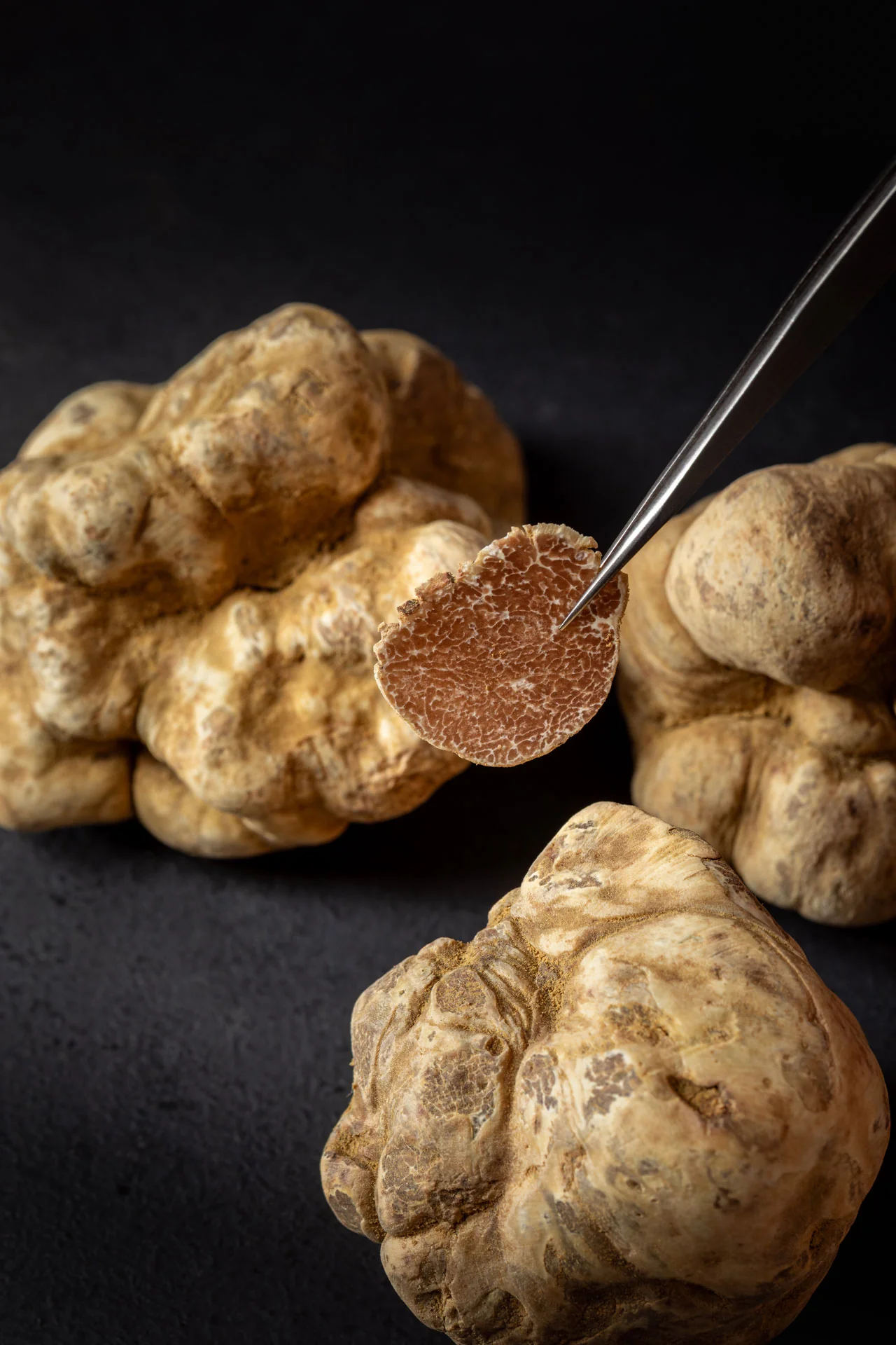 White Truffle Grounds