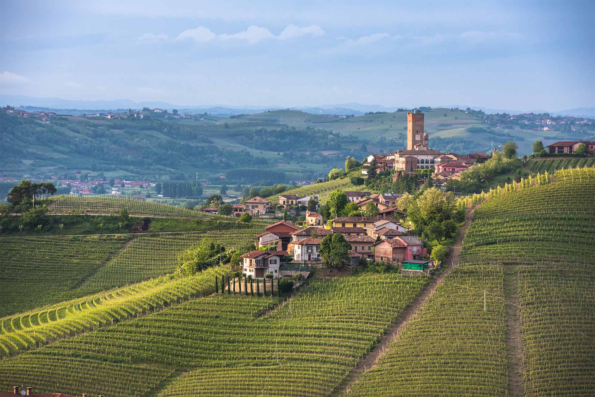 Langhe Hillside Paths