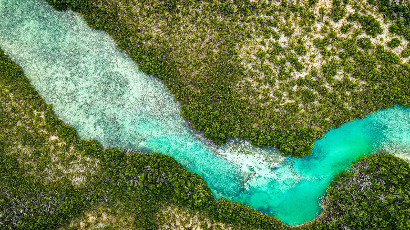 Vieques Clear Kayak Tour Through Bioluminescent Waters
