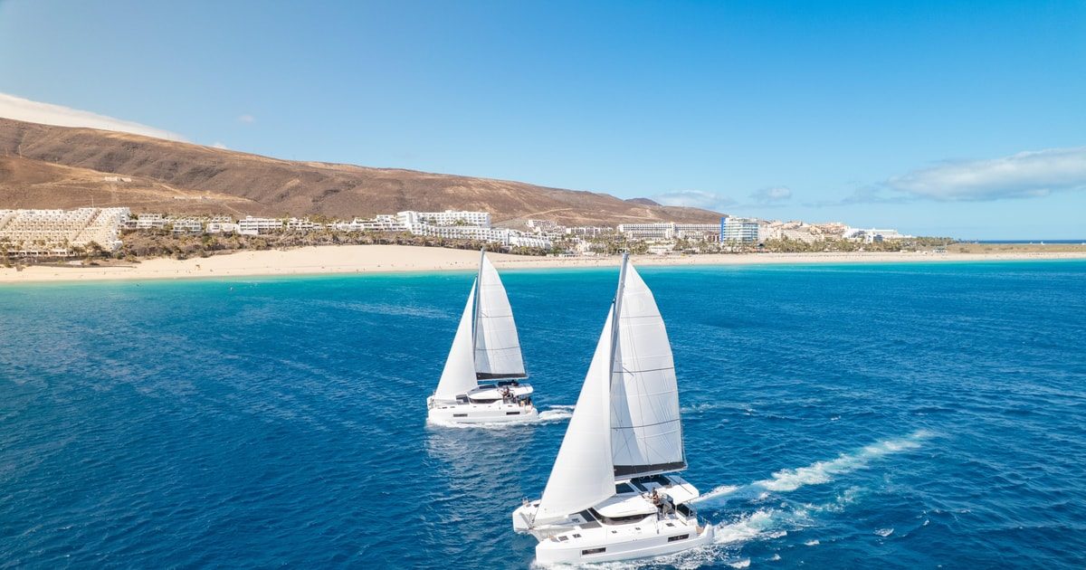 Morro Jable Dolphin Watching Experience