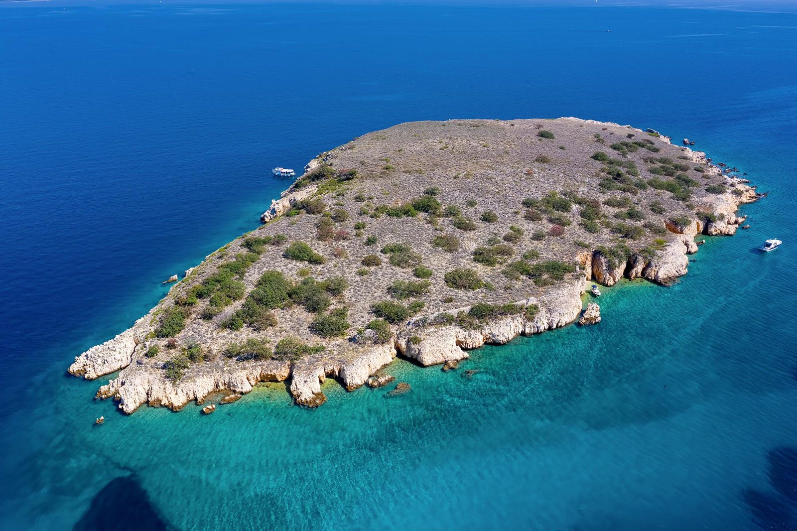 Plavnik Island