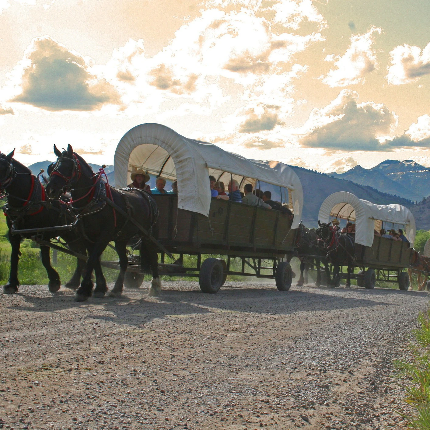 Jackson Hole Chuckwagon Dinner Experience