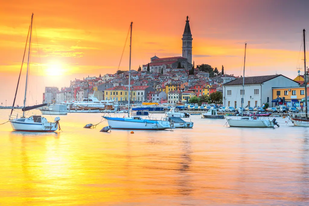 Rovinj Dolphin Tour Experience