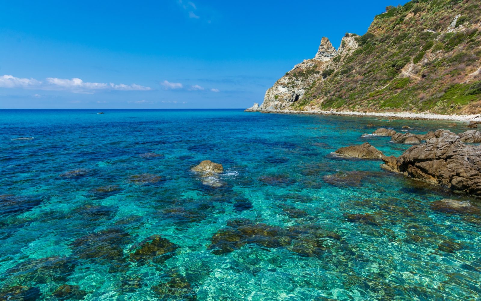Your experience at Tropea Boat Tours