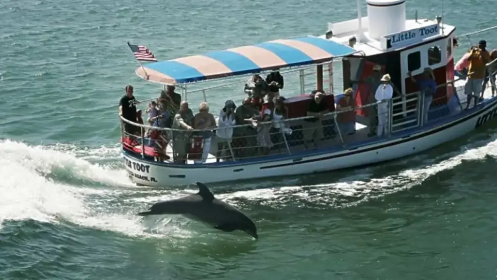 Clearwater Dolphin Cruise